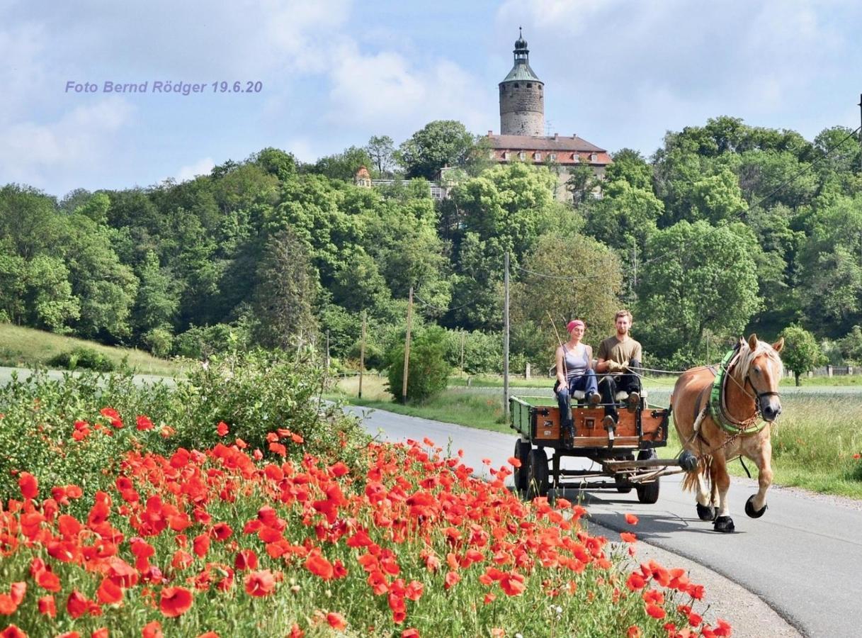 Pension Gruenes Herz Tonndorf エクステリア 写真