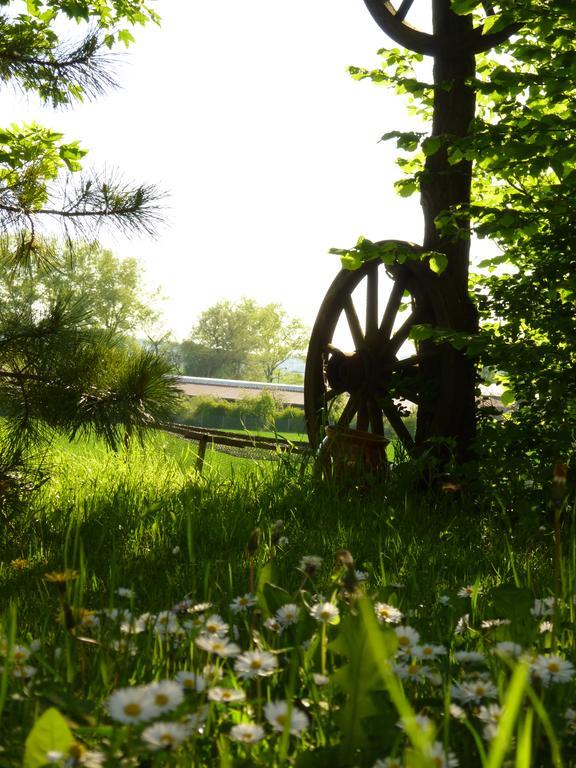 Pension Gruenes Herz Tonndorf エクステリア 写真
